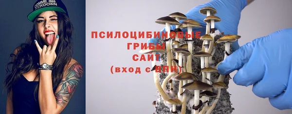 прущая мука Костерёво