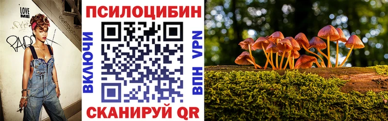Галлюциногенные грибы прущие грибы Котельнич
